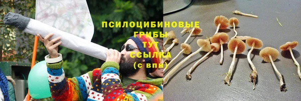 соль курить ск Михайлов